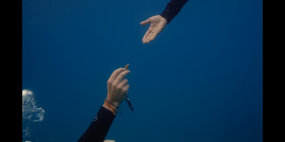 Handen onder water 