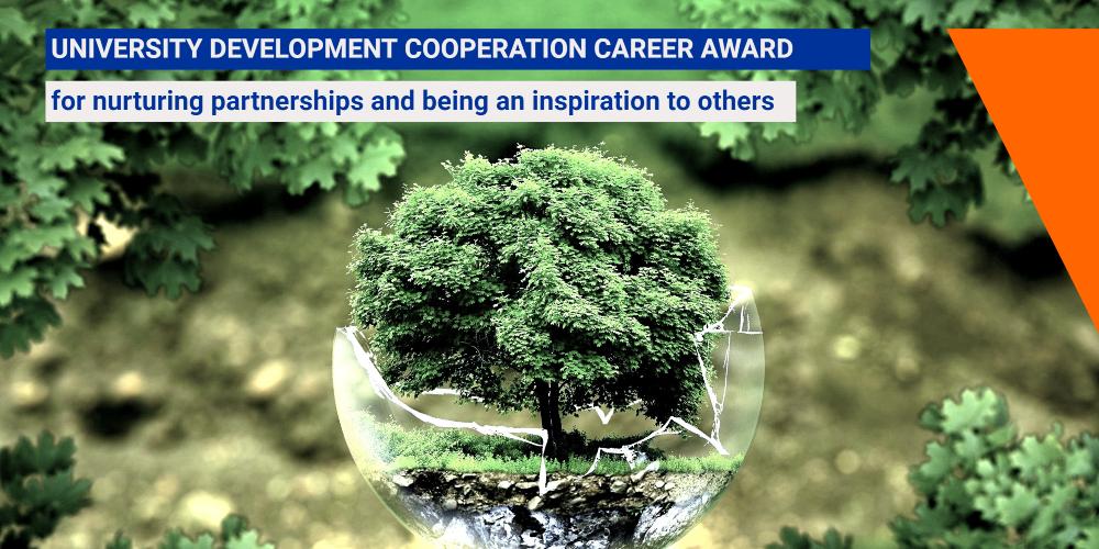 UDC Career Award 2024 Image with tree growing in broken glass with water in it