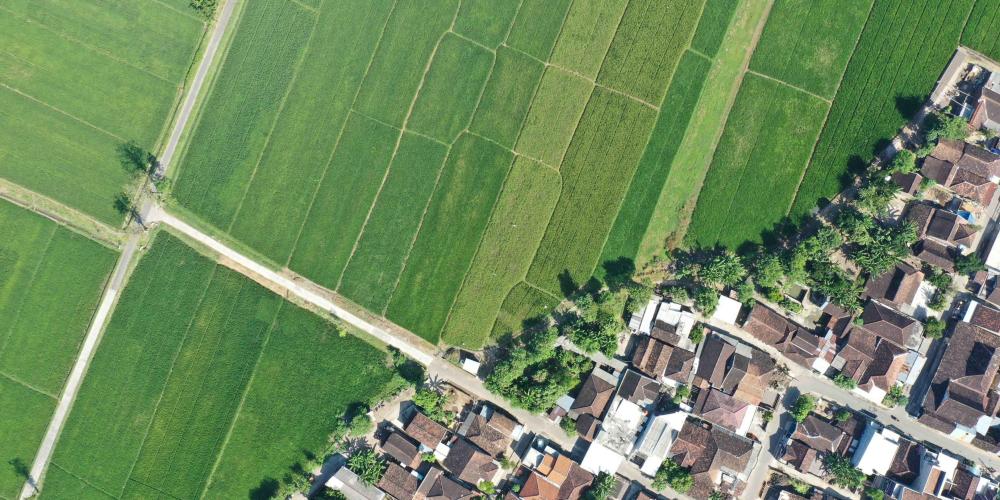 Landgebruik en urbanisatie geografie