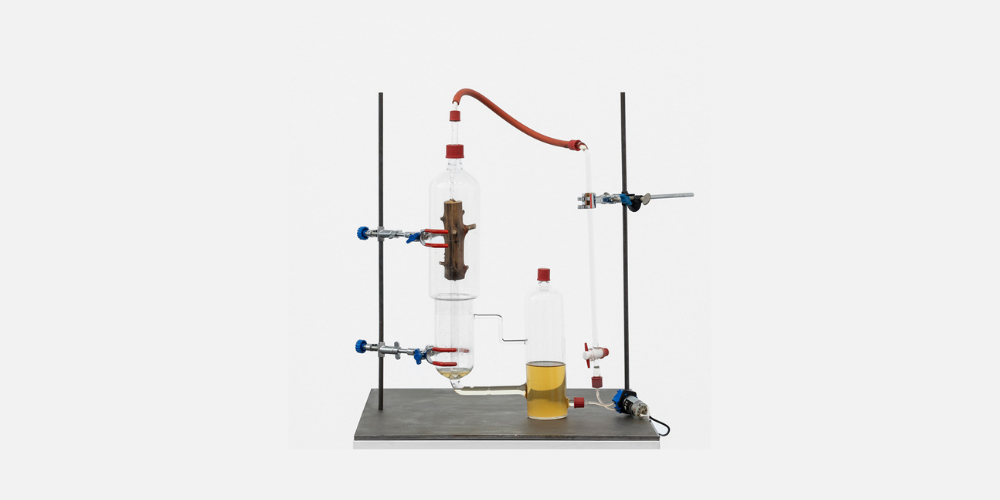 2024_A Fungal Affair By Whitehouse Gallery Beeld voor de tentoonstelling A Fungal Affair