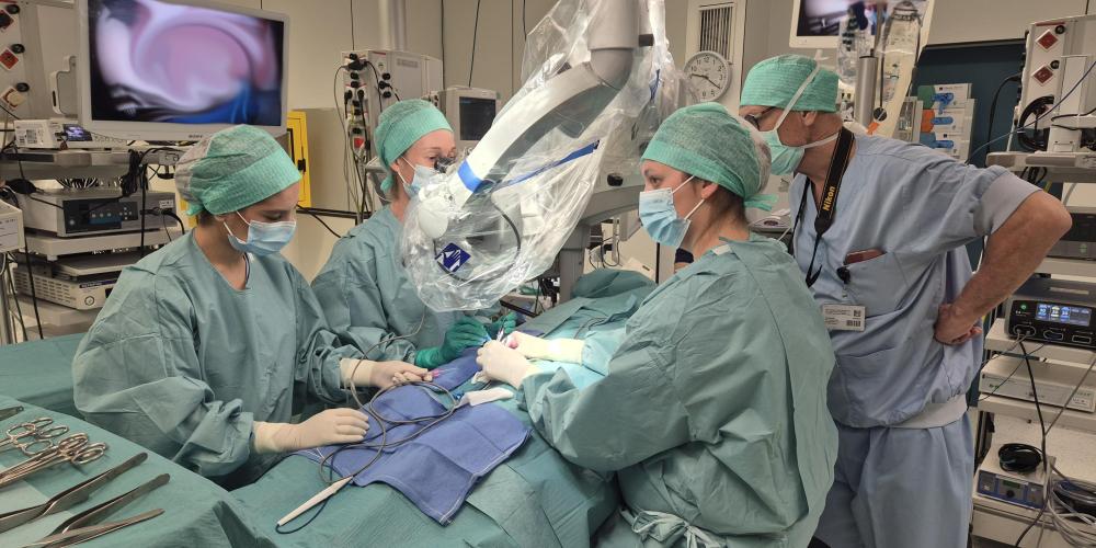 Teelbalweefseltranslantatie