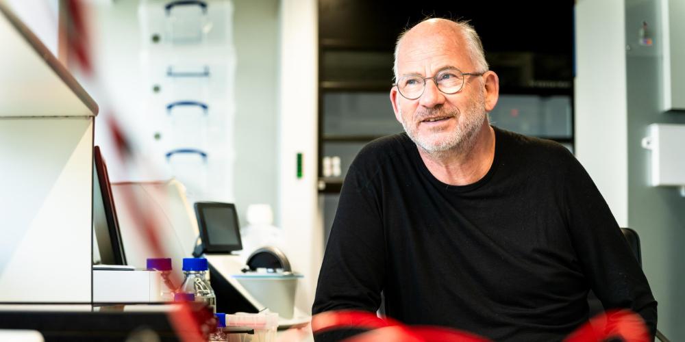 Jan Steyaert Jan Steyaert