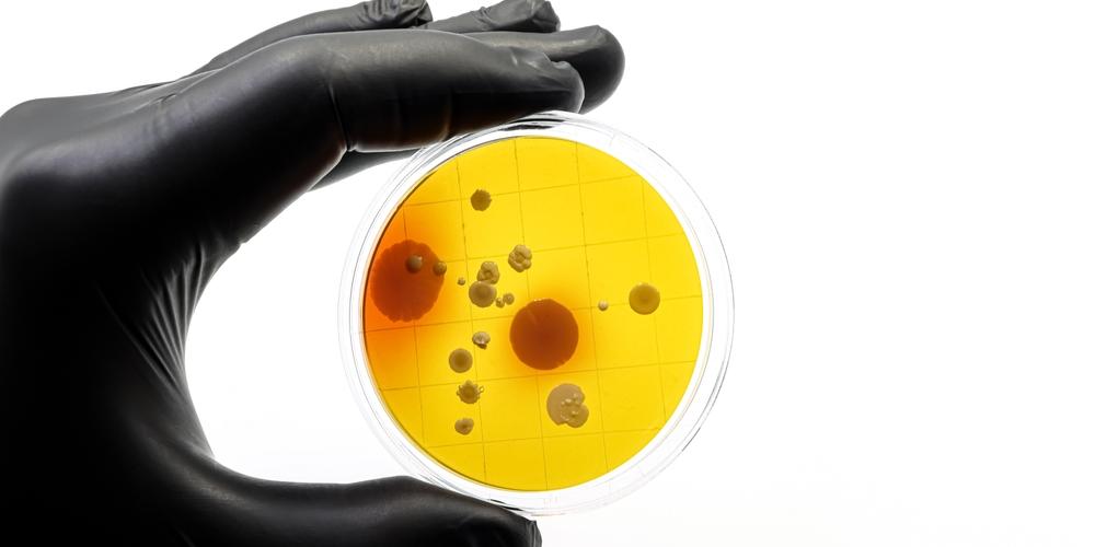 Onderzoek naar antibiotica