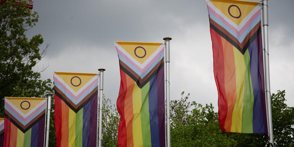 Pride-vlaggen