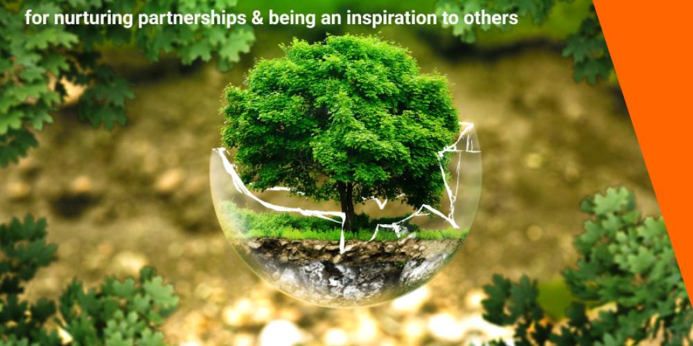 image of tree growing out of the glass bowl 
