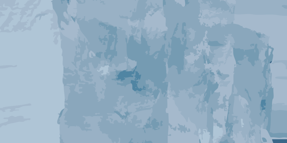 Anne Chapuis for the credits.png