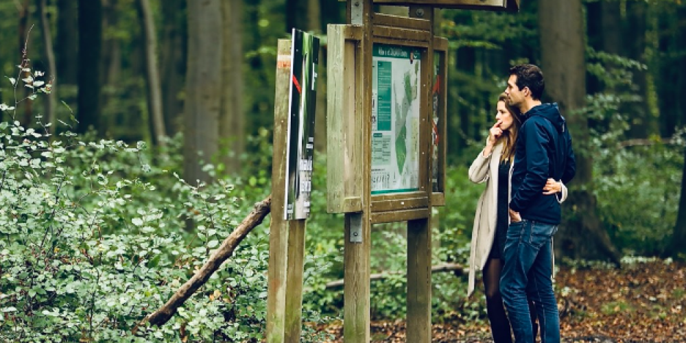 Foto zoniënwoud.png