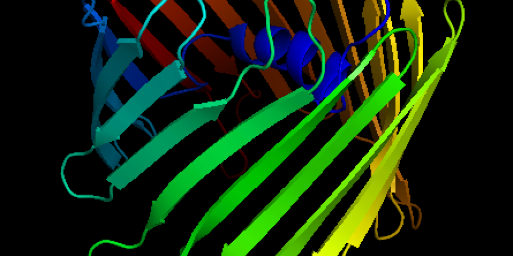 Human_Voltage-Dependent_Anion_Channel_Protein_Structure.png