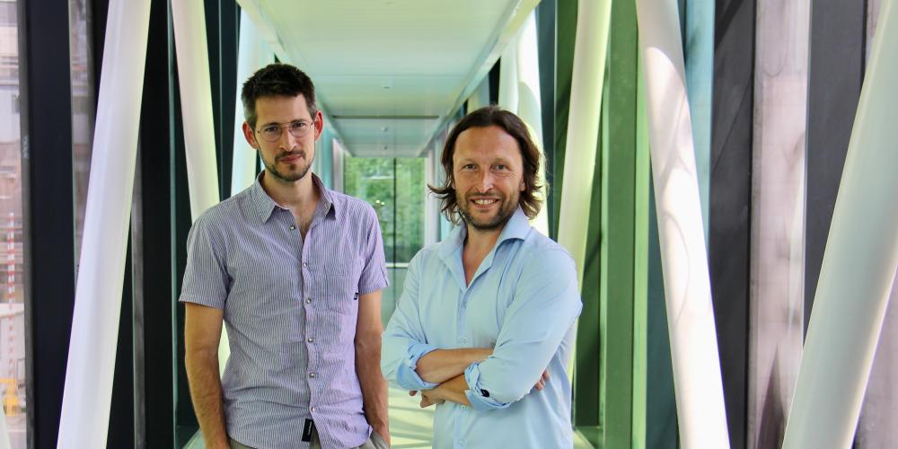 2025 UZ Brussel UZ BRussel