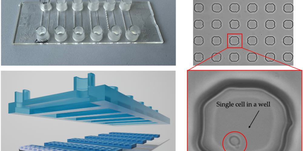 Microfluidic chip.png
