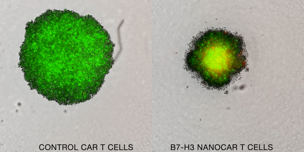 Schermafbeelding 2025-12-10 134233.png