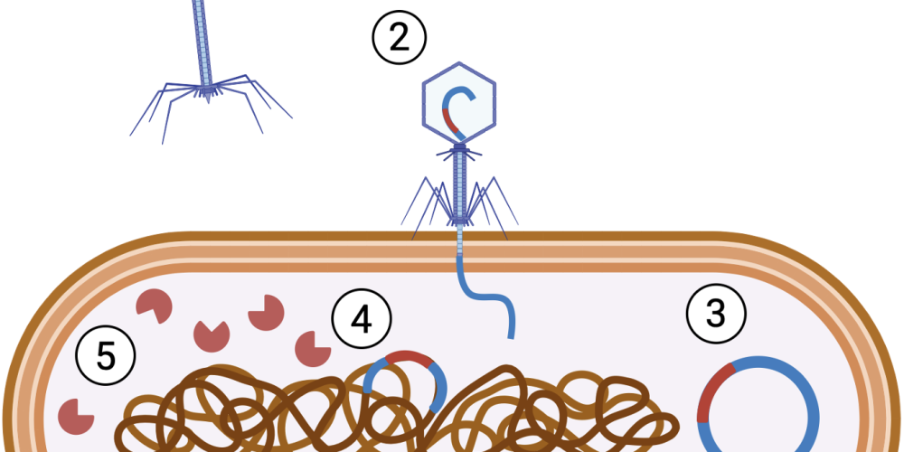 Screenshot 2025-10-28 at 14.39.43.png