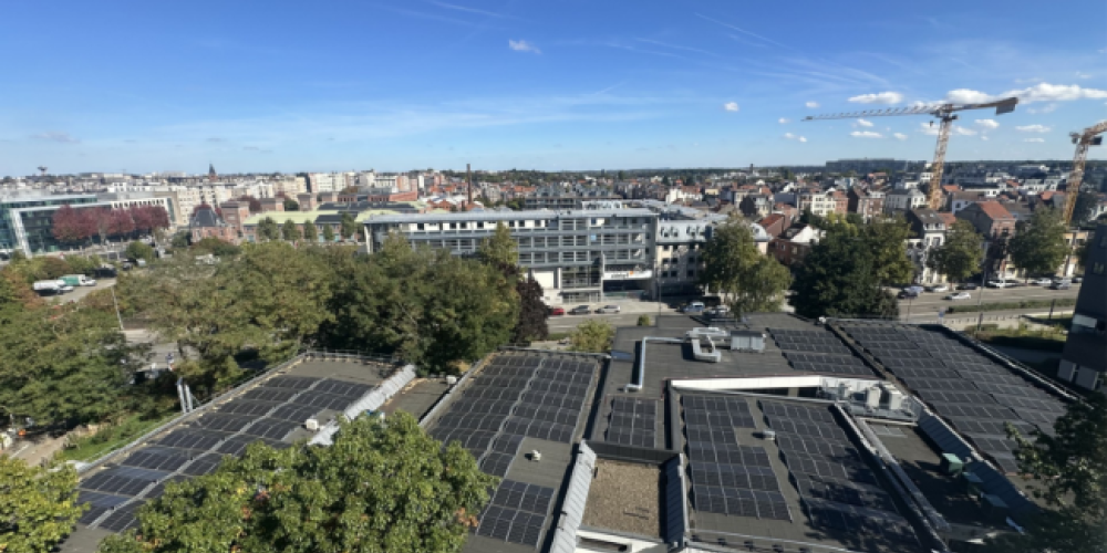 zonnepanelen.png
