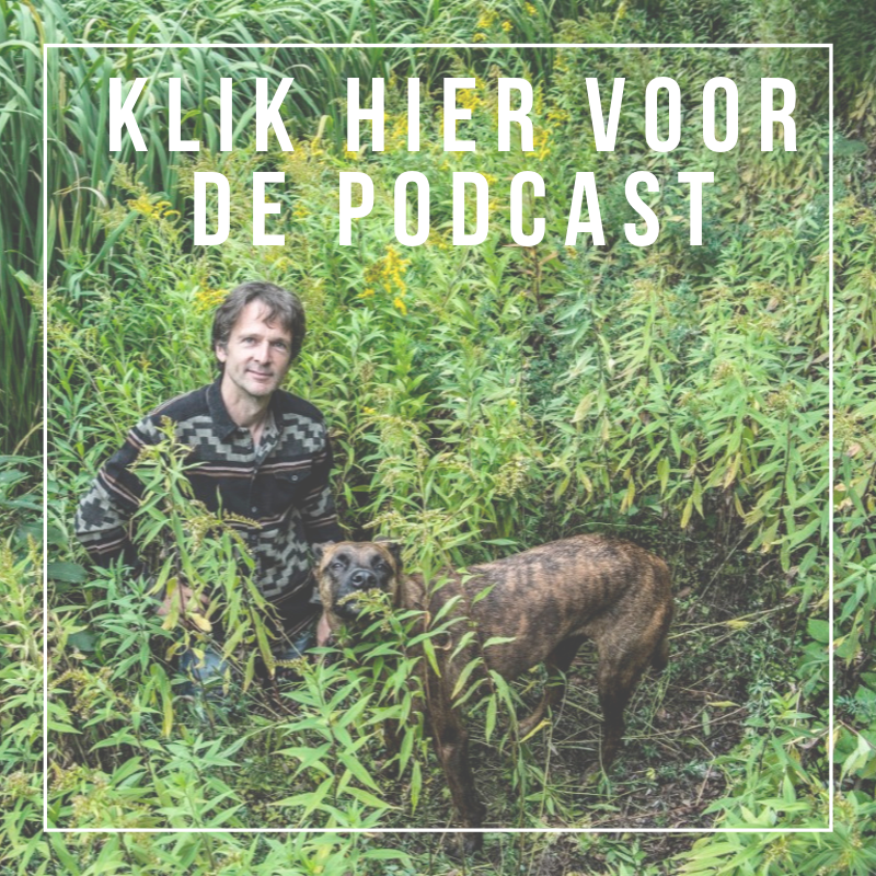 PODCAST FRANKY BOSSUYT